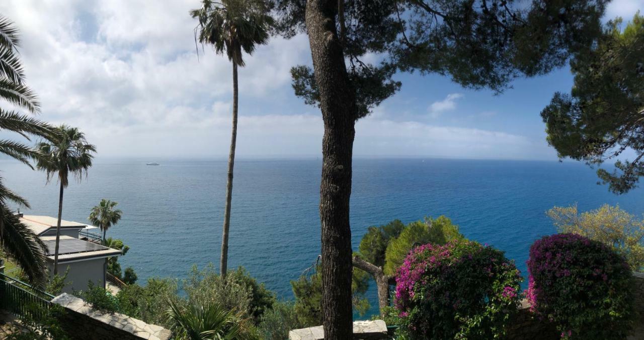 Camogli - "La Porta Rossa" - Liguria Holidays Sori Eksteriør bilde
